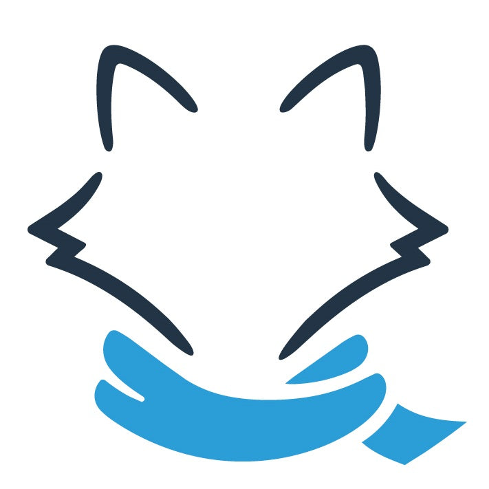 Snow Fox - Corporate Billing Setup